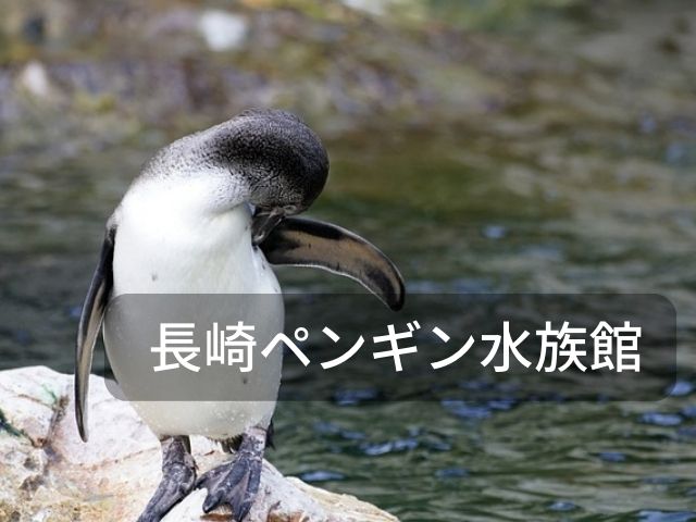 長崎ペンギン水族館のイメージ。