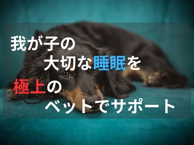 愛犬の睡眠サポートのイメージ。